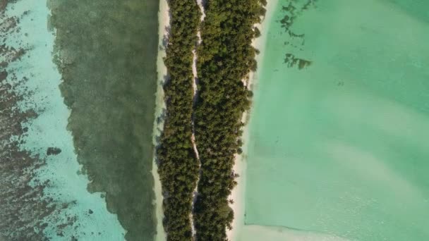 Полет Остров Песчаной Косе Смытой Обеих Сторон Потрясающей Бирюзовой Водой — стоковое видео