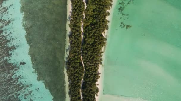 Flight Island Sandy Spit Washed Both Sides Stunning Turquoise Water — Wideo stockowe