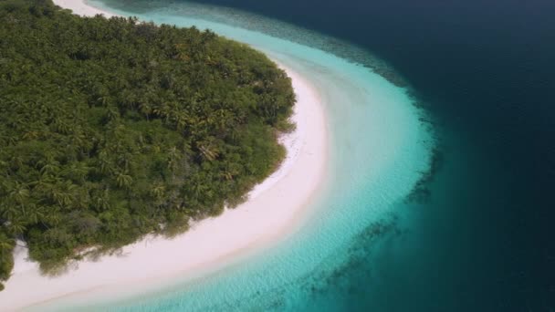 Top View Maldivian Island Green Trees Located Blue Water Open — Wideo stockowe