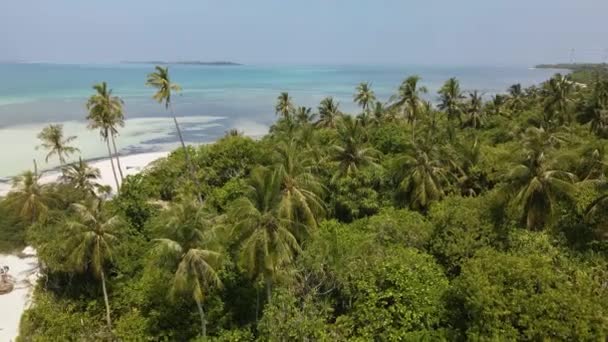 Drone Flight Maliv Island Green Trees Open Ocean — Vídeo de Stock
