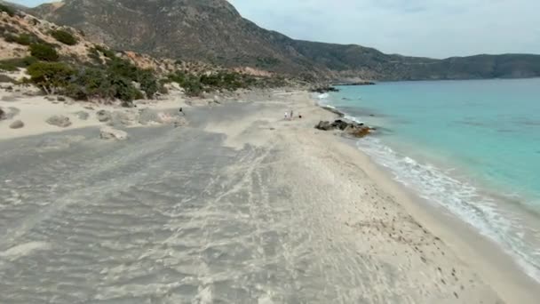 Three Friends Dog Running Ocean Kedrodasos Beach Greece Europe Fpv — Vídeos de Stock