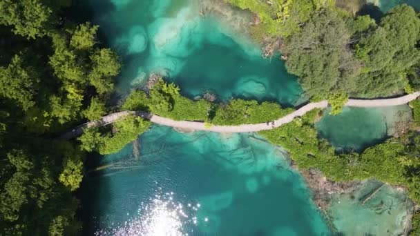 Plitvice Gölleri Ulusal Parkı Gidin Bir Sürü Yeşil Bitki Güzel — Stok video