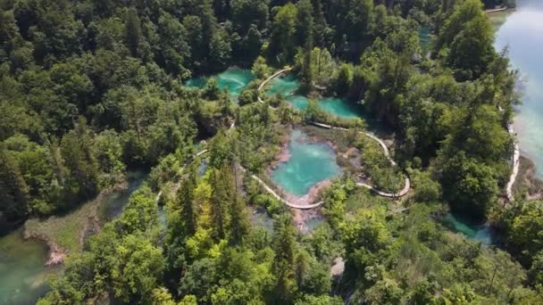 Top View Plitvice Lakes National Park Many Green Plants Beautiful — Stockvideo