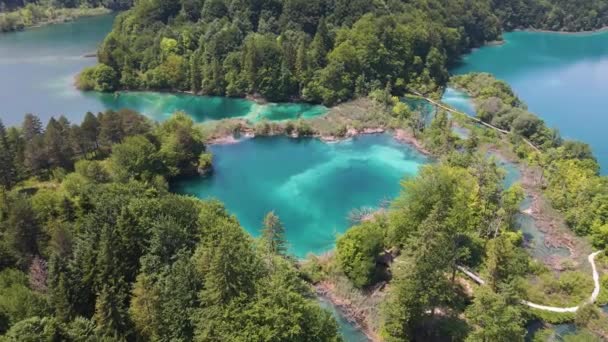 Top View Plitvice Lakes National Park Many Green Plants Beautiful — Vídeo de Stock