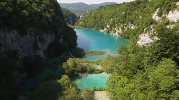 Top View Beautiful Plitvice Lakes National Park Many Green Plants — Video Stock