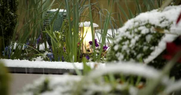 Hail Falling Garden Mid Shot — Wideo stockowe