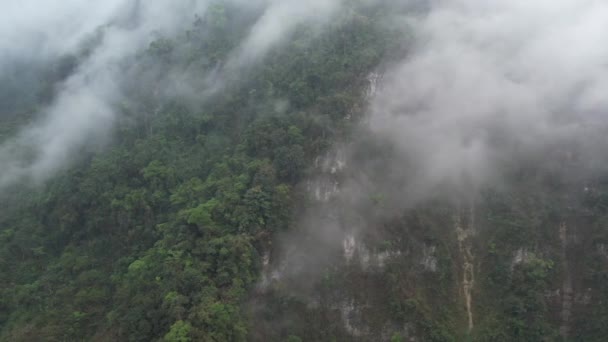 Aerial View Mexican Jungle Foggy Morning — Stock Video