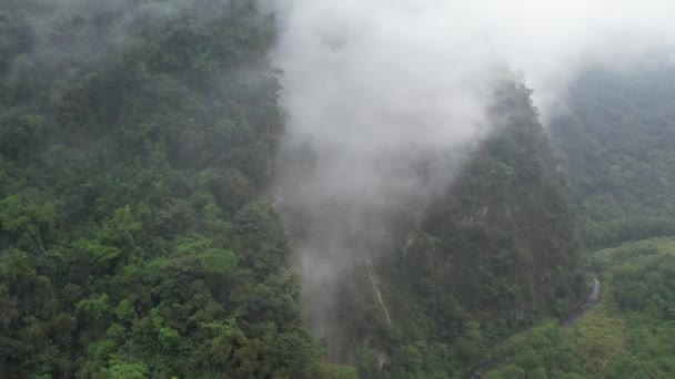 Dron Exploring Mexican Jungle Foggy Day — Stok video