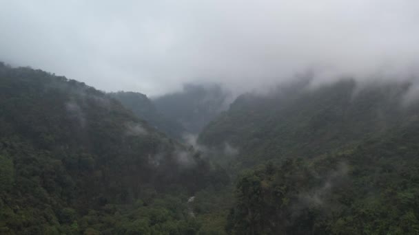 Amazing Puebla Jungle Foggy Day — Vídeo de stock