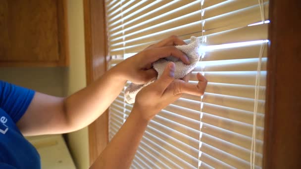 Cleaning Service Blinds Housekeeping — Stok video