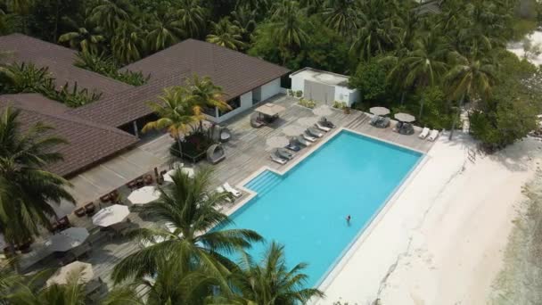 Girl Pool Hotel Complex Surrounded Green Palm Trees Maldives — Stock videók