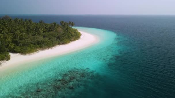 Incredible View Beautiful Maldivian Island Green Trees White Sand Turquoise — Video Stock