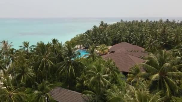 Top View Hotel Jetty Many Green Plants Maldives — 비디오