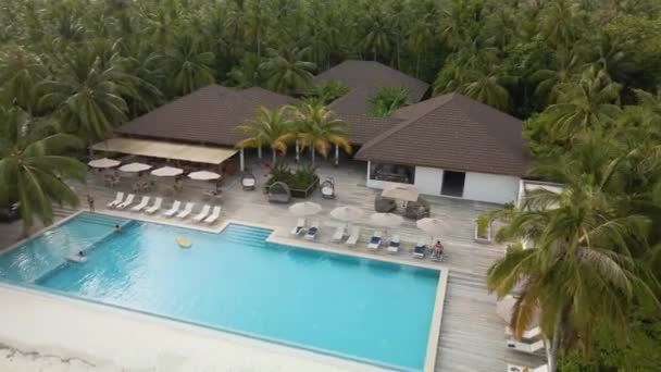 Girl Pool Hotel Complex Surrounded Green Palm Trees — Video