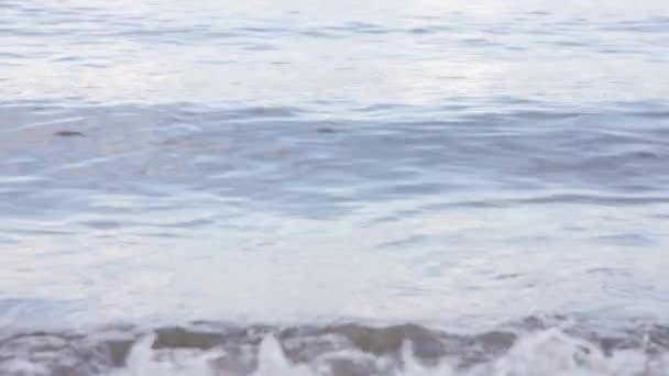 Waves Water Lapping Edge Lake — ストック動画