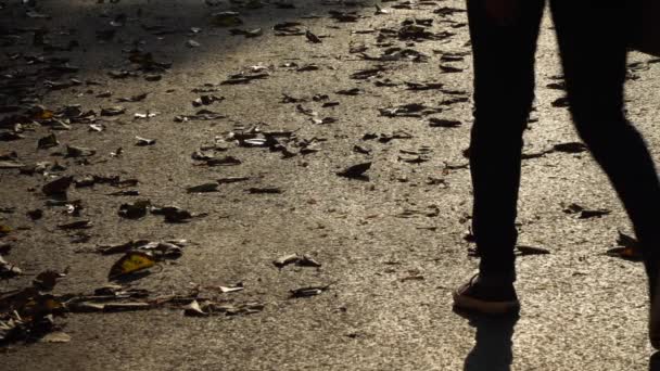 People Walk Road Leaves Late Evening — Video Stock