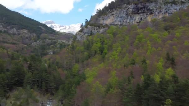 Mountain Forest Spring High Peaks Snow Background — Stockvideo