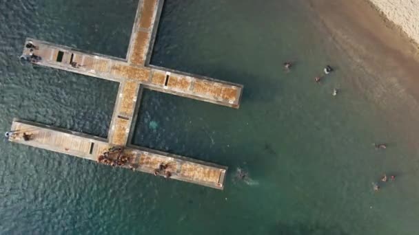Lokale Kinderen Spelen Dock Top Drone Beelden — Stockvideo