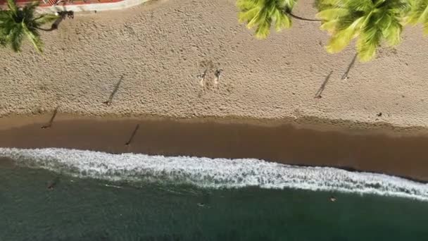 Drone Video Small Community Public Beach — 비디오