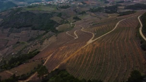 Lot Dół Nad Dużą Górą Całkowicie Pokrytą Tarasami Uprawy Winogron — Wideo stockowe