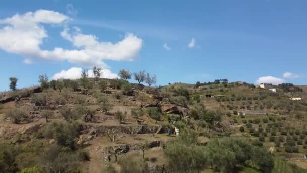 Drone Images Terraces Mountains Douro Valley Viticulture Main Activity — Αρχείο Βίντεο