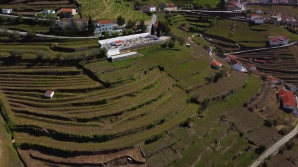 Flying Villages Part Huge Vineyard Industry Porto Wines Region Douro — Stockvideo