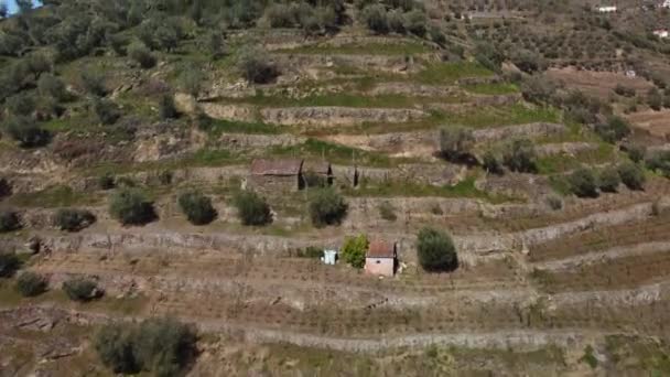 Drone Footage Viticulture Hill Terraces Small Houses Vegetation Reach Top — Vídeos de Stock