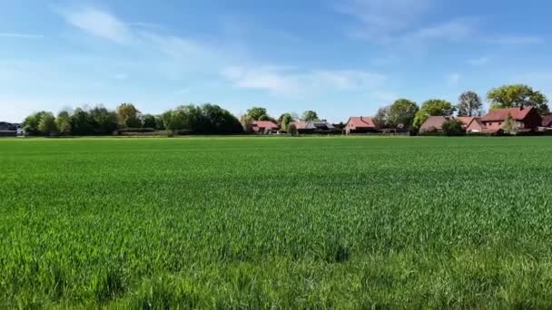 Ländliche Idylle Niedersachsen Einem Sonnigen Frühlingstag Mit Grünen Saftigen Wiesen — Stockvideo