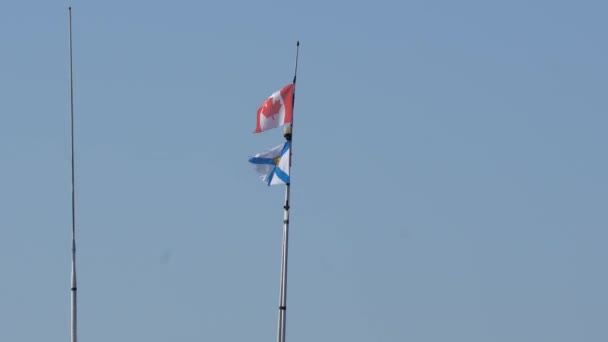 Flags Canada Nova Scotia Move Windy Sunny Day — Stock video