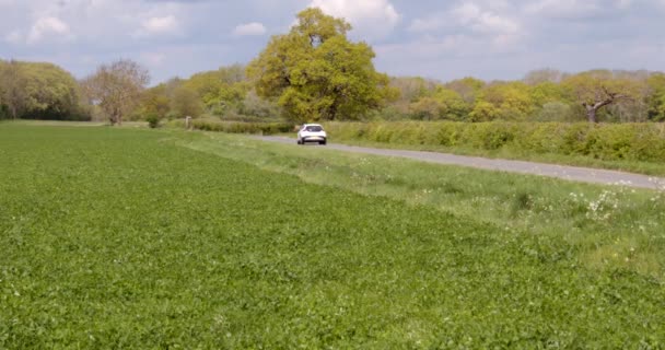 English Oak Tree Field White Car Driving — Video