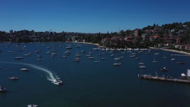 Sydney Harbor Beautiful Sunny Day Double Bay Featuring Boats Blue — Vídeos de Stock