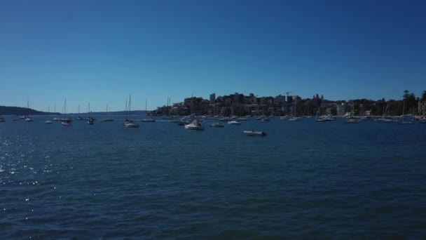 Sydney Harbor Beautiful Sunny Day Double Bay Featuring Boats Blue — Video Stock