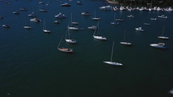 Sydney Harbor Beautiful Sunny Day Double Bay Featuring Boats Blue — Stockvideo