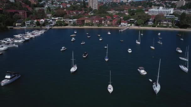 Sydney Harbor Beautiful Sunny Day Double Bay Featuring Boats Blue — Vídeo de Stock