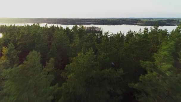 Island Baltieji Lakajai Lake Labanoras Regional Park Lithuania Drone Video — Stockvideo