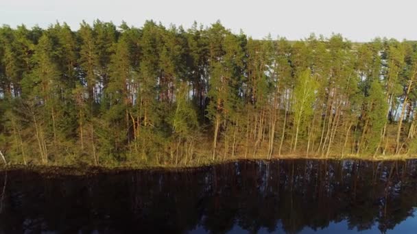 Island Baltieji Lakajai Lake Labanoras Regional Park Lithuania Drone Video — стокове відео