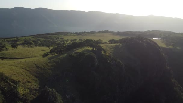 Golden Light Hitting Fanal Forest Madeira Sunset Shot Dji — ストック動画