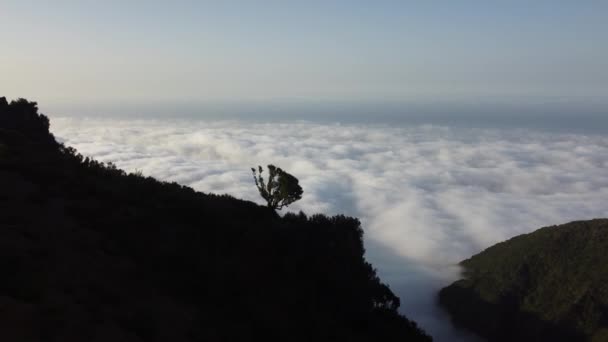 Most Incredible Sunset Clouds Mystical Forest Fanal Madeira Shot Dji — 图库视频影像