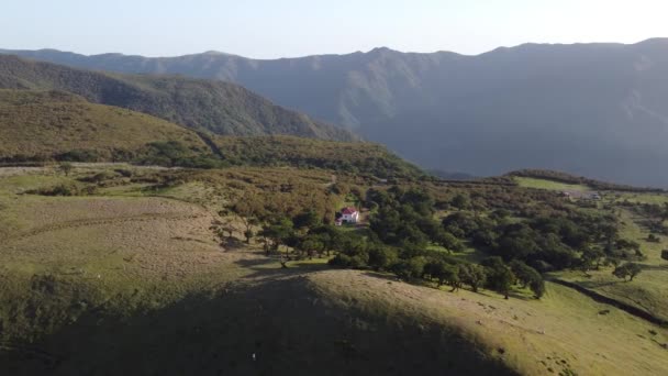 Een Luchtfoto Van Boven Het Fanal Bos Madeira Bij Zonsondergang — Stockvideo