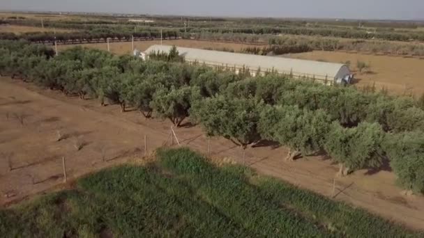 Vue Cinématique Une Immense Ferme Avec Nombreux Arbres — Video