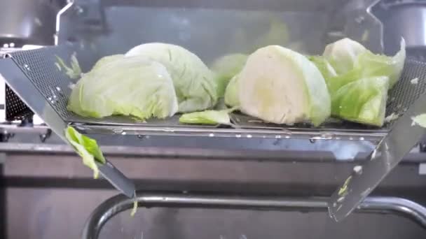 Cinematic View Cabbages Being Cut Thrown Pot — 图库视频影像