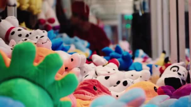 Claw Machine Cute Fluffy Animal Toys Failing Get Prize — Vídeo de Stock