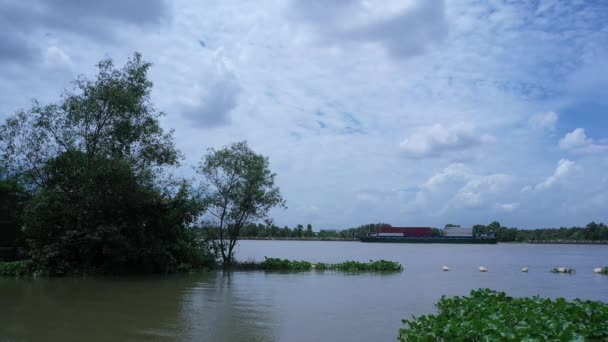 Large River Boat Carrying Shipping Containers Iin Natural Scene Saigon — Video