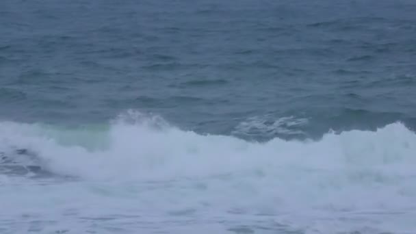 People Surfing Cold Ocean Water Swimming Waves — Stockvideo