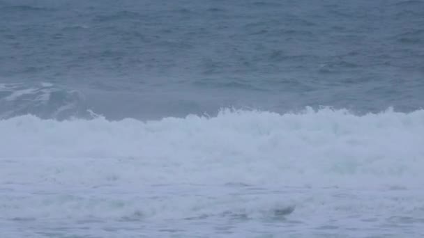 Slow Motion People Surfing Cold Ocean Water Swimming Waves — Stock videók