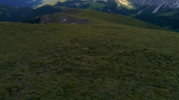 Grassland Meadow Aerial View Revealing Solitary South Tyrol Peitlerkofel Sunlit — Vídeo de stock