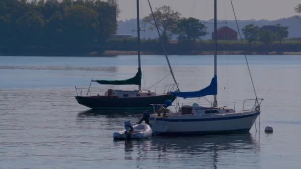 Barcos Agua City Island Nueva York Con Hart Island Fondo — Vídeo de stock