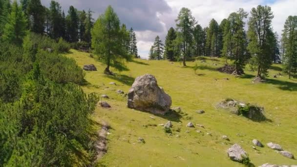 位于南蒂罗尔 普洛斯 彼得勒科费尔阳光充足的山谷底部的一片茂密的林地上 在巨石之上的空中升起的景色 — 图库视频影像