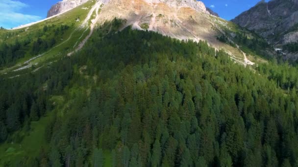 Lush Green Alpine Woodland Forest Base South Tyrol Plose Peitlerkofel — Vídeos de Stock