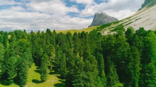 Idyllic Exuberante Verde Alpino Árvores Floresta Aérea Viaduto Vista Sul — Vídeo de Stock